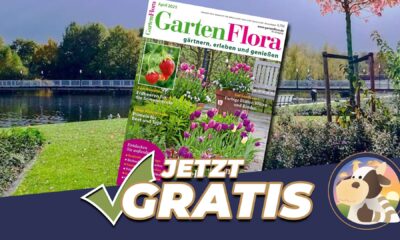 GartenFlora Gratis erhalten